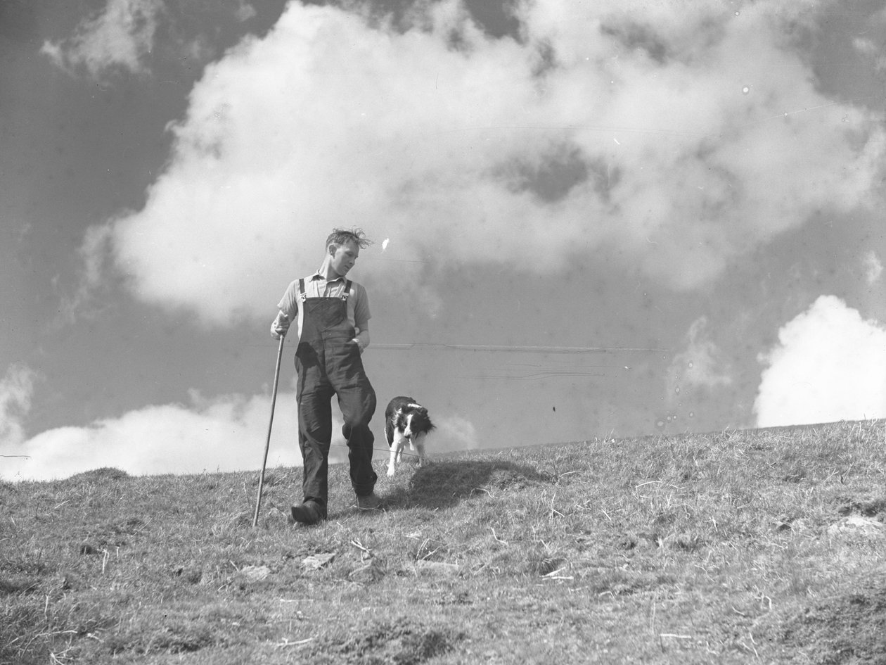 En gjeter og gjeterhunden hans går tur i Martindale av Joseph Hardman