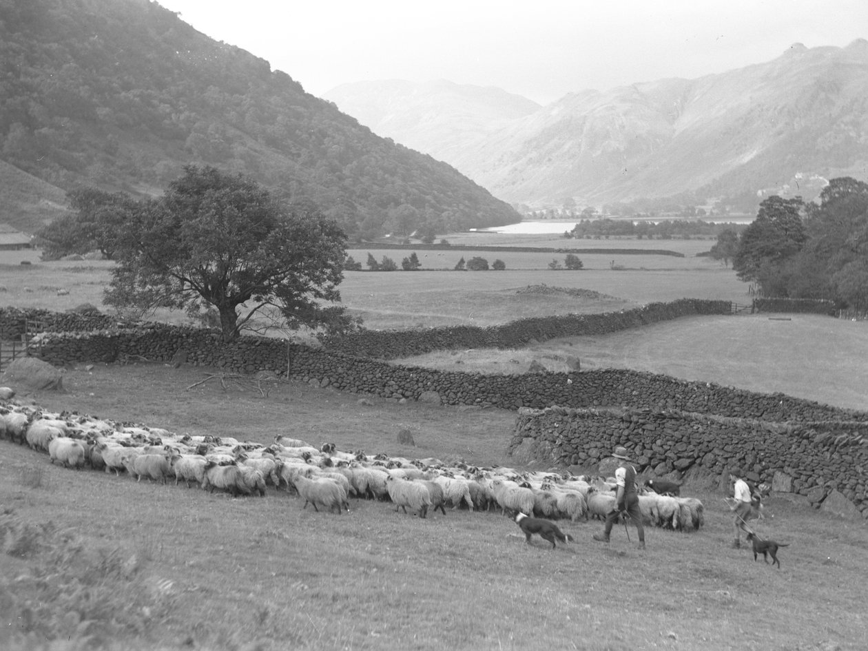  av Joseph Hardman