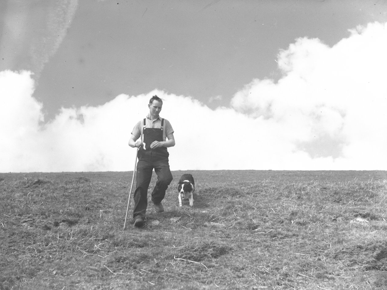 av Joseph Hardman