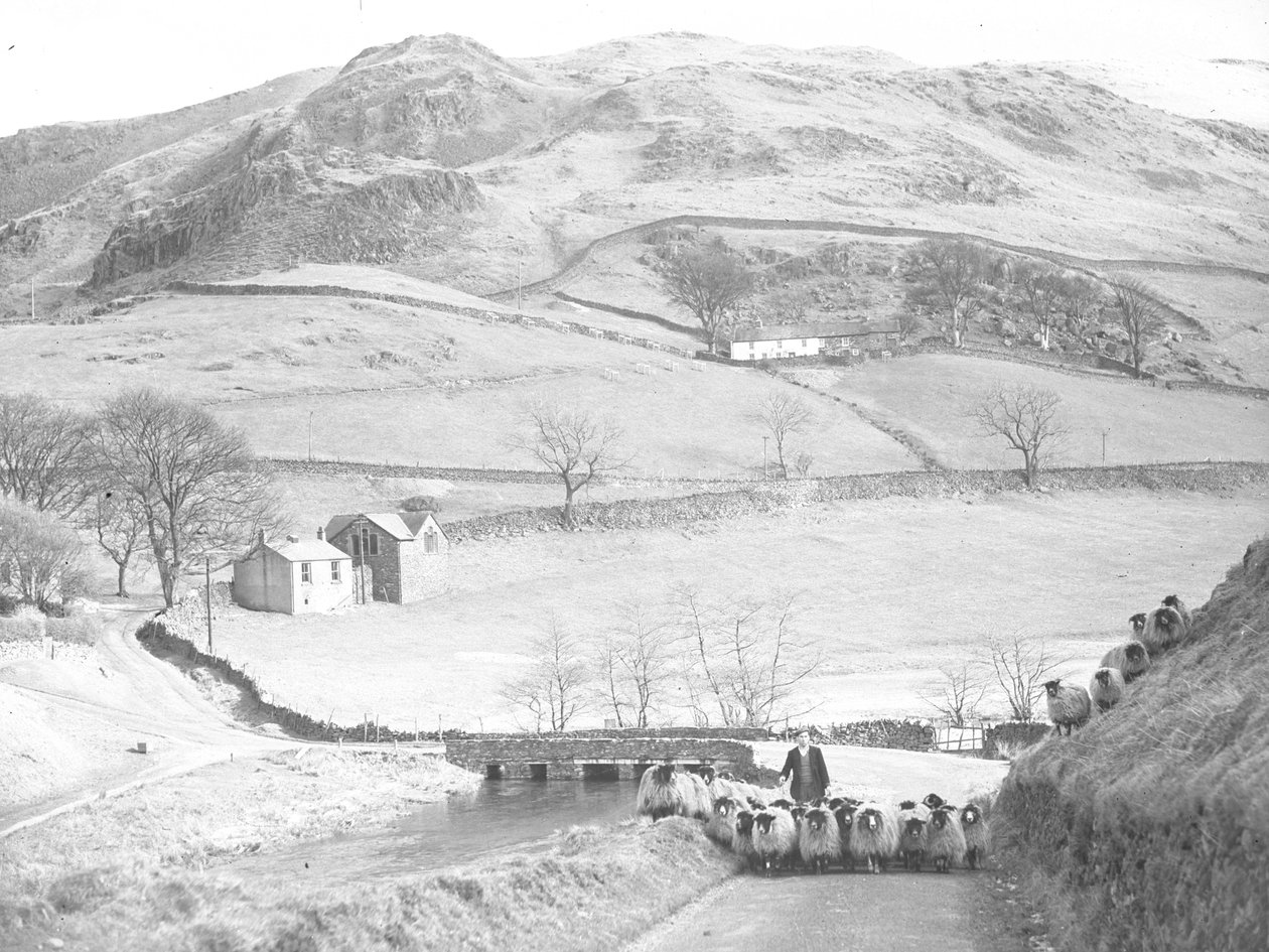  av Joseph Hardman