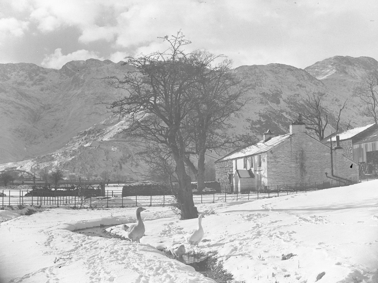 Gjess i forgrunnen ved siden av en liten bekk med snødekt terreng rundt og bygninger i bakgrunnen av Joseph Hardman