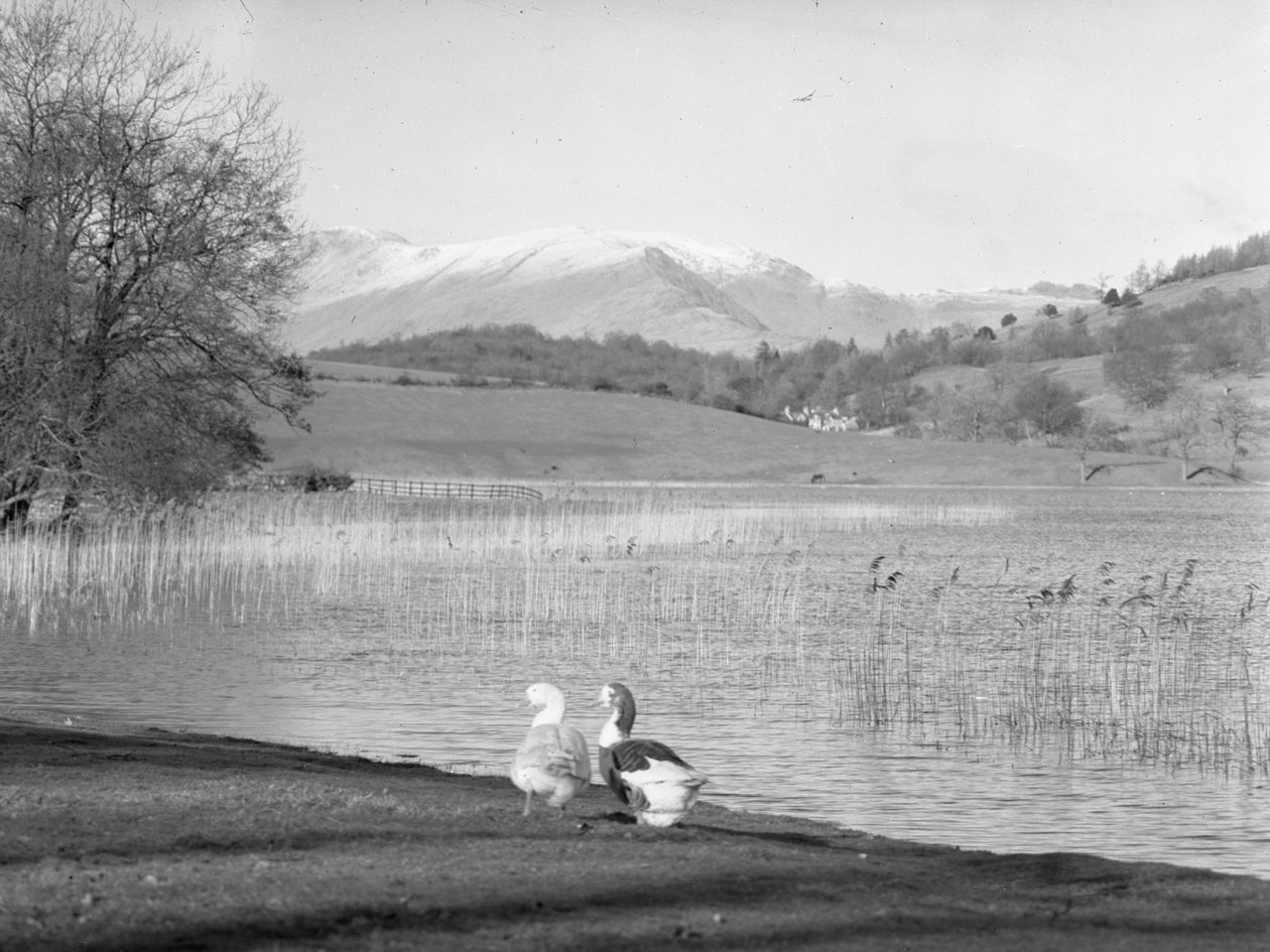  av Joseph Hardman