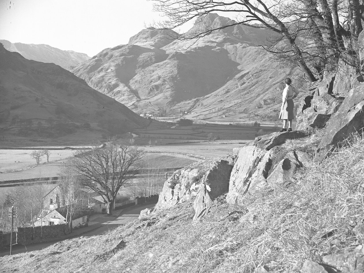 Kvinne som står på steiner under et tre og ser på utsikten over Langdale Fells av Joseph Hardman