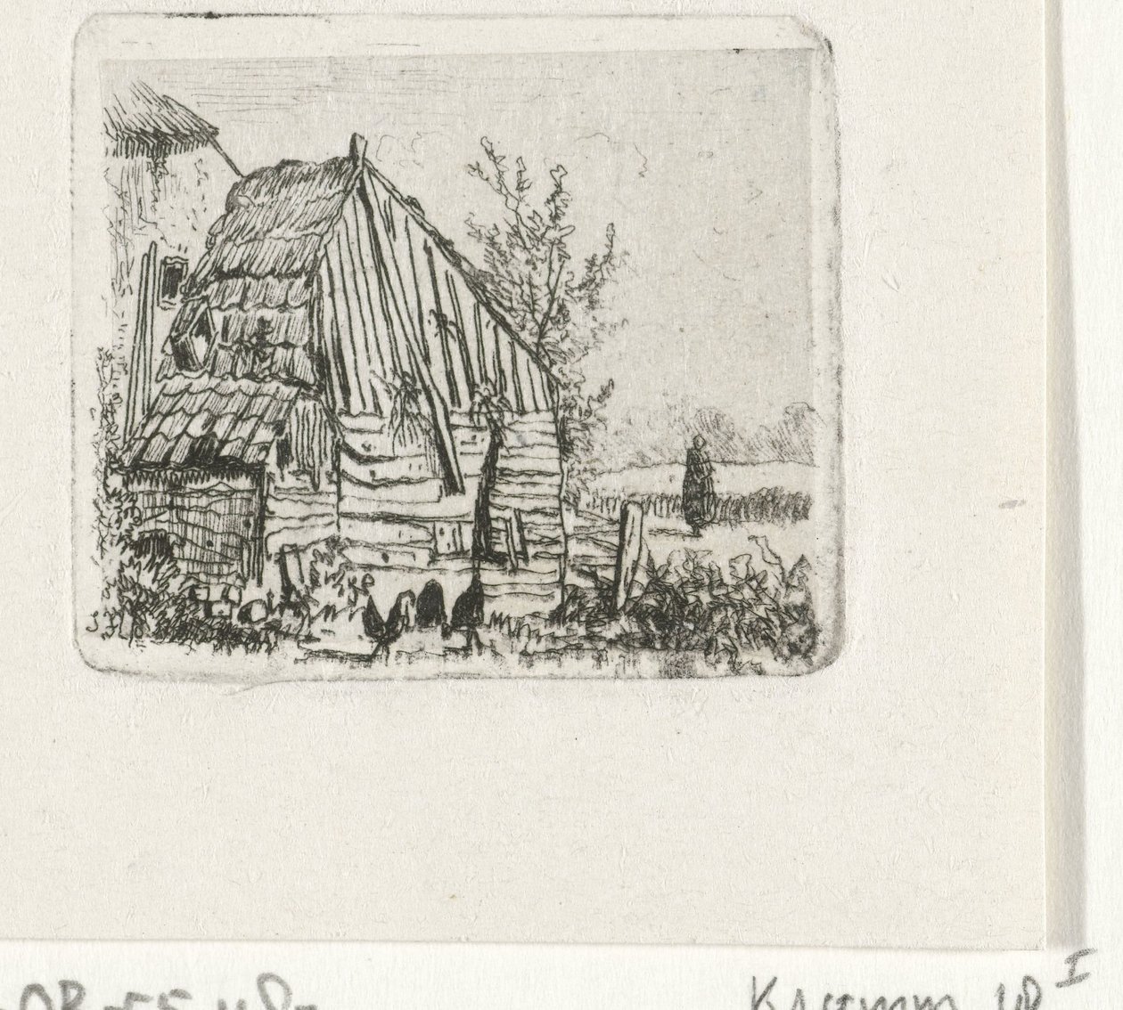 Kyllinger i en låve av Joseph Hartogensis