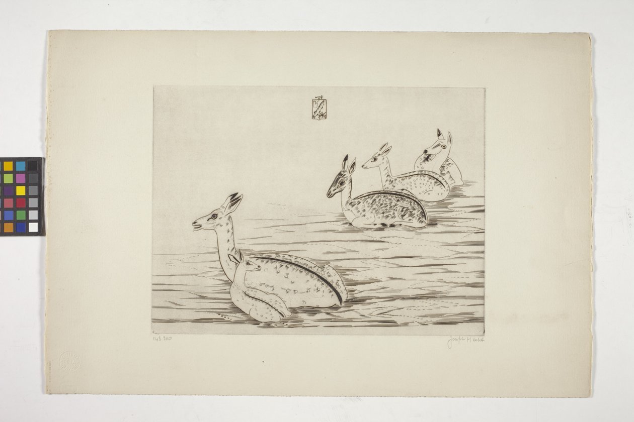 Cerfs Indochinois I (Indokinesisk hjort I) (gravering på kremvevd papir) av Joseph Hecht
