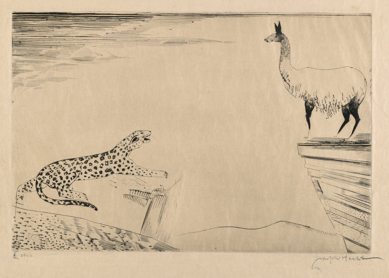 Jaguar og Lama av Joseph Hecht