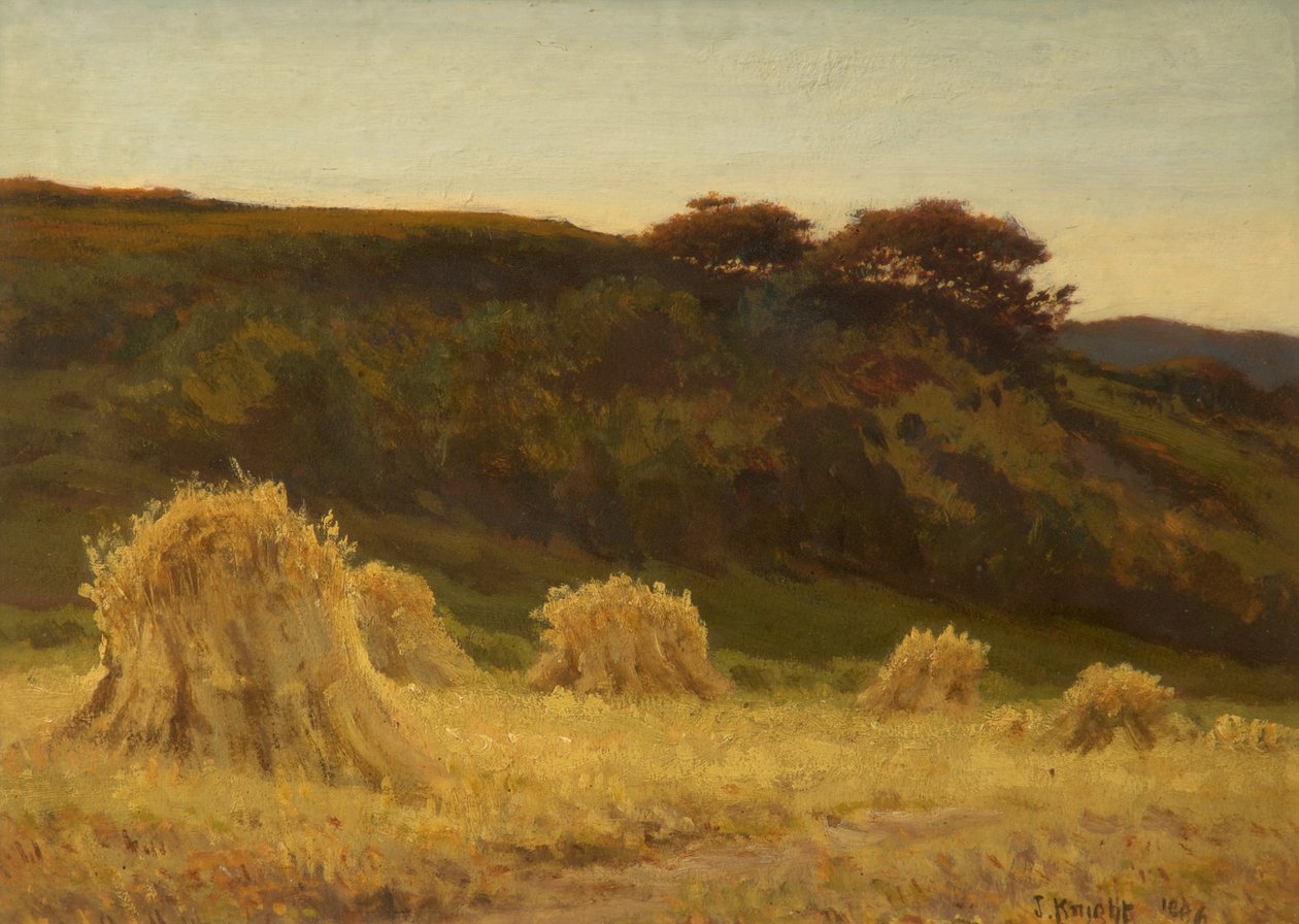 Kornåkeren av Joseph Knight