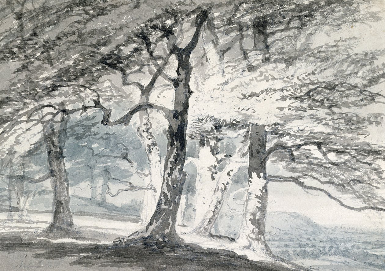 Norbury Park, Surrey (blyant og akvarell på papir) av Joseph Mallord William (attr.to) Turner