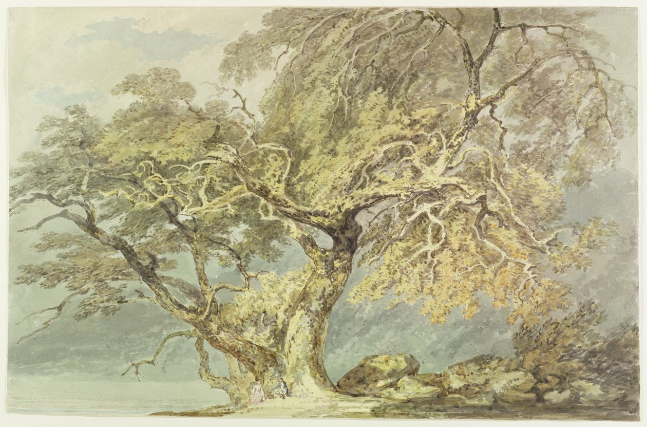 Et stort tre, ca. 1796 (wc over grafitt på papir) av Joseph Mallord William Turner