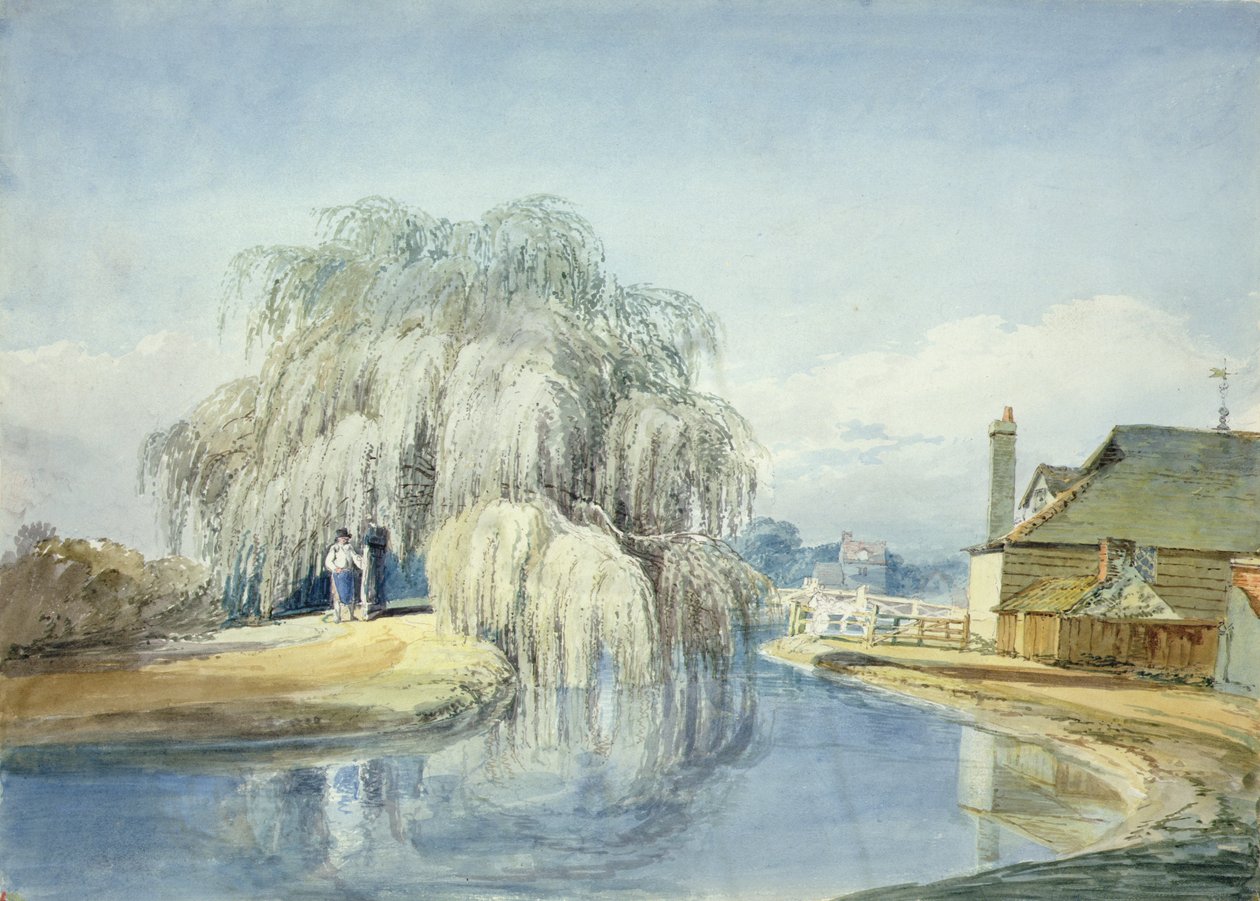 A Weeping Willow (akvarell på papir) av Joseph Mallord William Turner