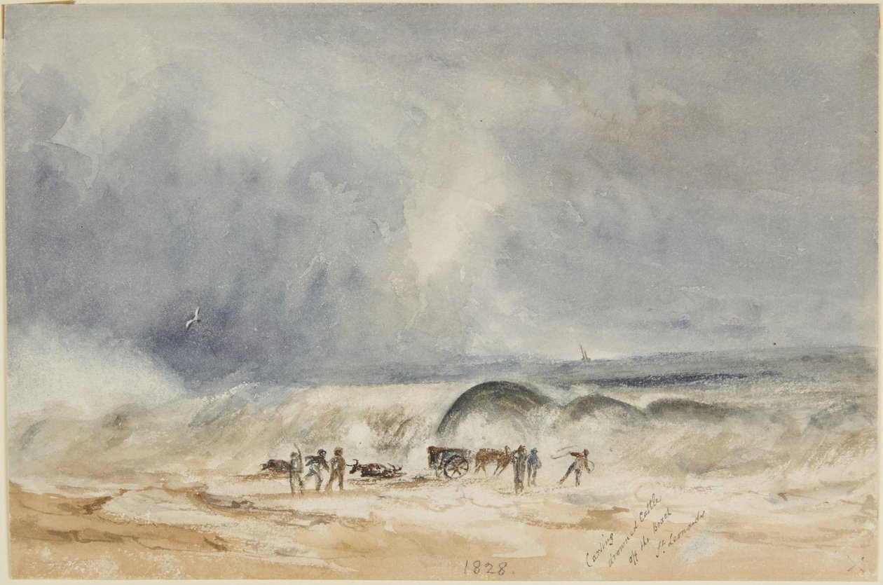 Transport av druknet kveg fra stranden, St. Leonards av Joseph Mallord William Turner