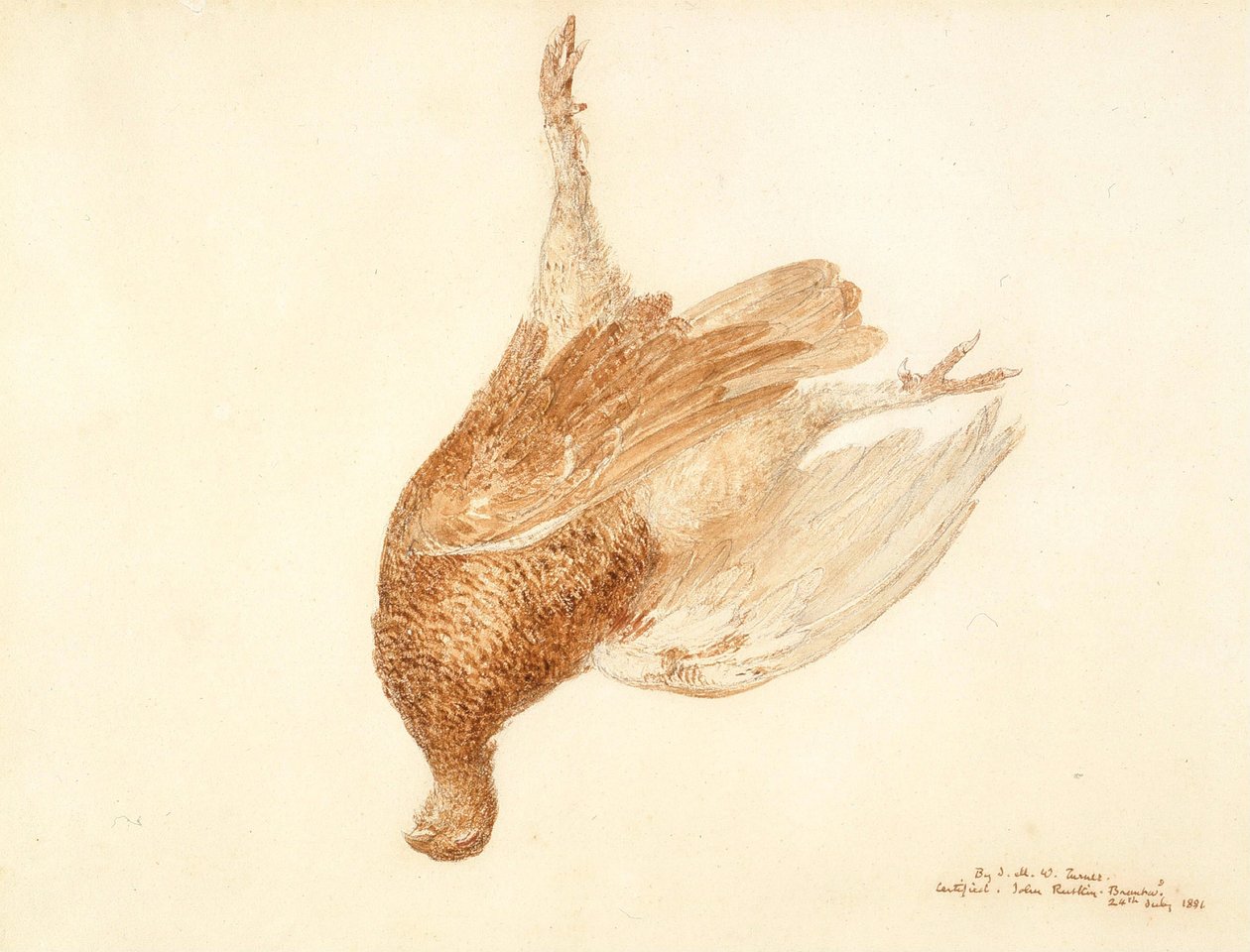 Død storfugl av Joseph Mallord William Turner