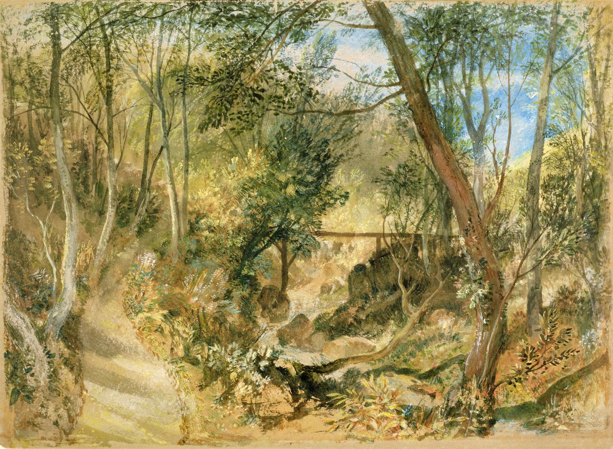 PD.50-1958 The Woodwalk, Farnley Hall, ca. 1818 (wc og gouache) av Joseph Mallord William Turner