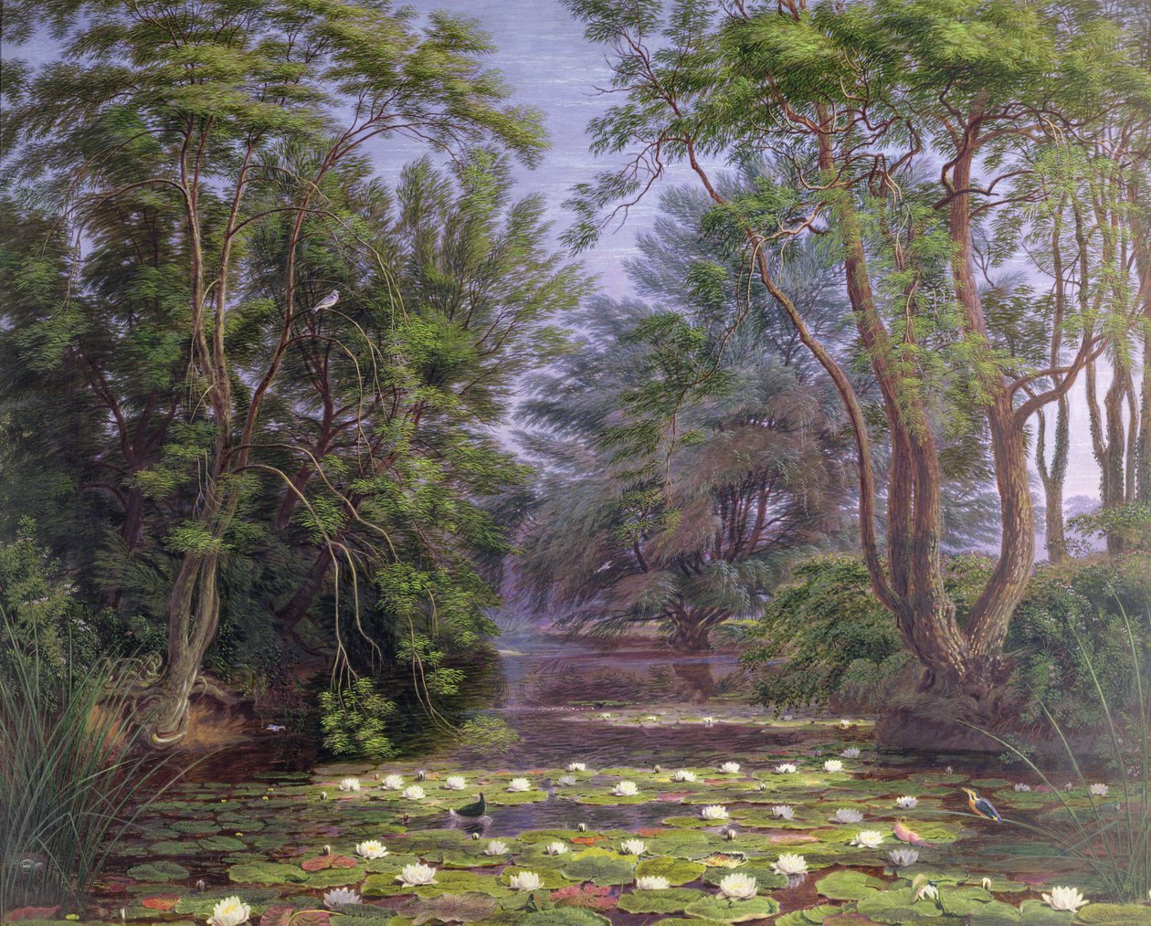 River Cherwell Waterlilies, 1851 av Joseph Mallord William Turner