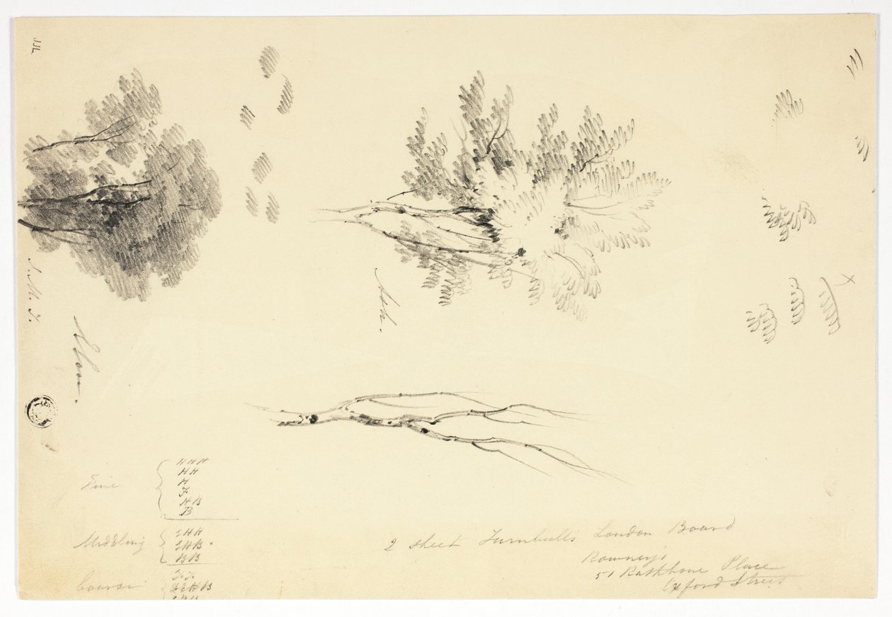 Skisser av alm- og asketrær av Joseph Mallord William Turner