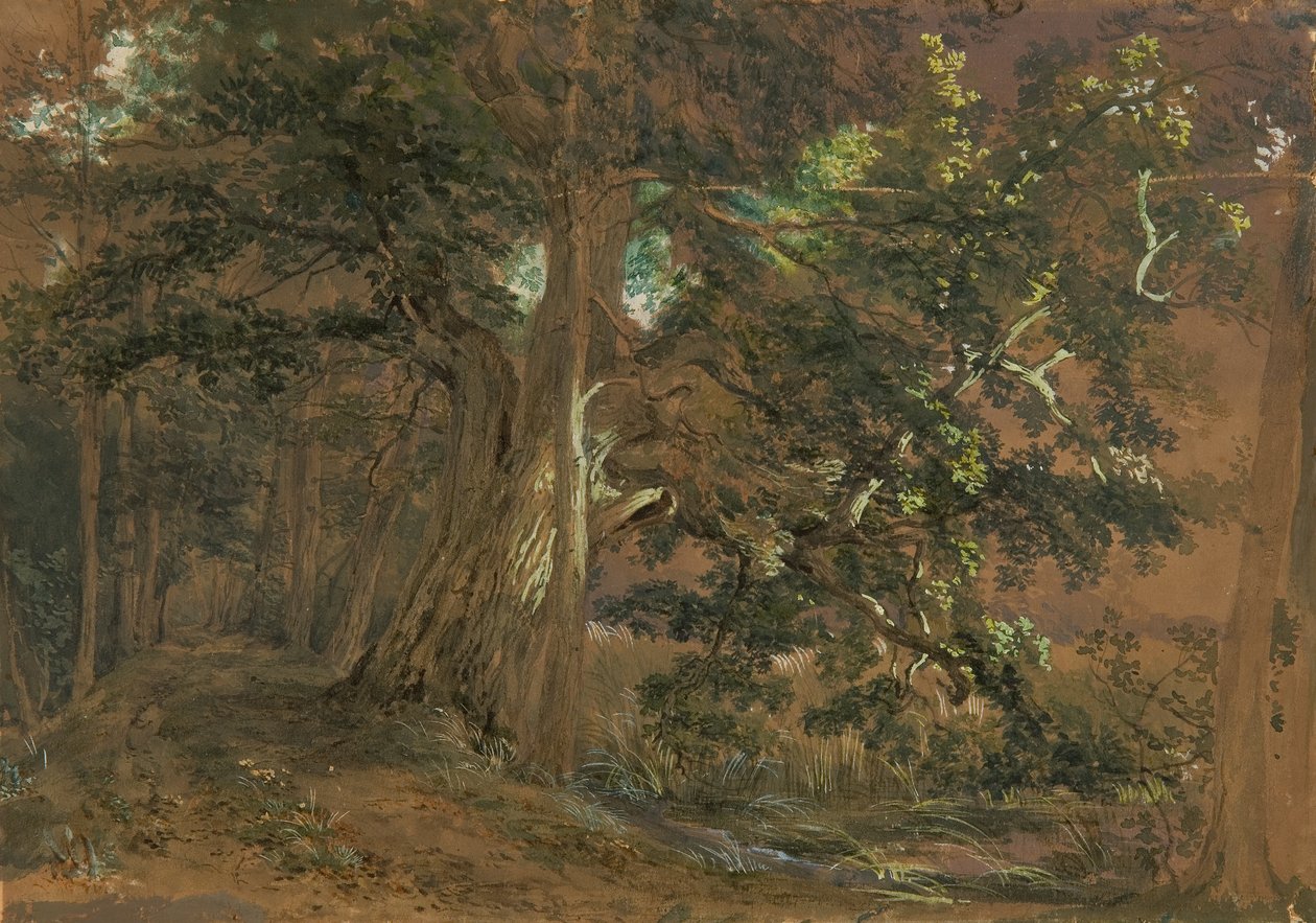 Skoginteriør nær Lundenburg (lønnegruppe ved en fjellvann) av Joseph Martin Höger