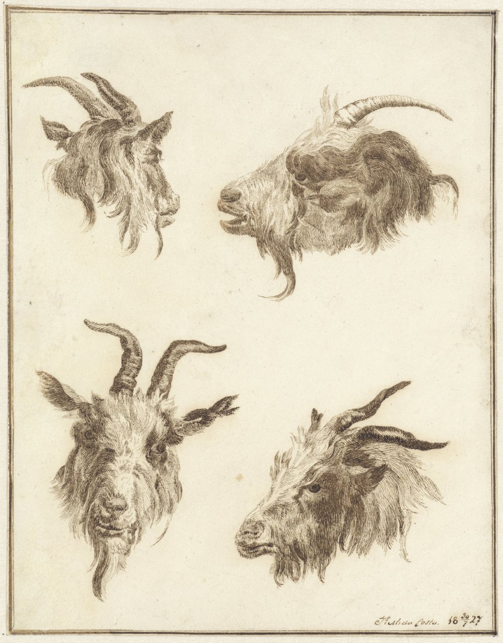 Fire studier av geitehoder av Joseph Mendes da Costa