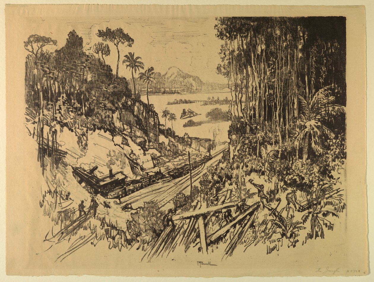 The Jungle: The Old Railroad from the New av Joseph Pennell