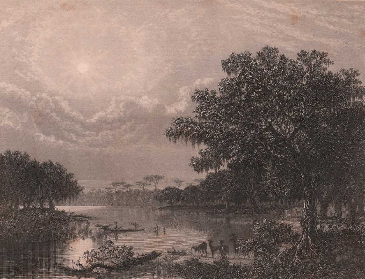 Louisiana Bayou, USA, stålgravering av Robert Hinshelwood (1812-etter 1875) etter maleri av Joseph Rusling Meeker (1827-1889), ca. 16x18 cm av Joseph Rusling Meeker