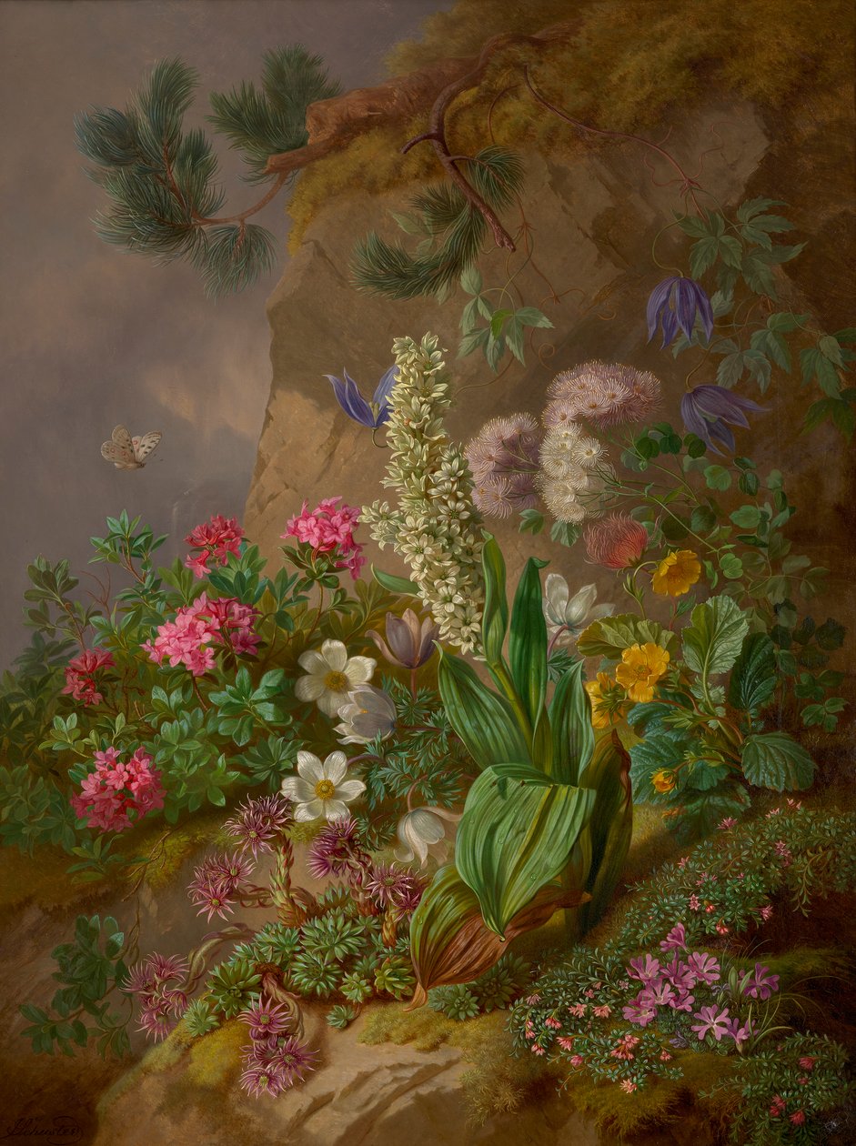 Alpenblumen av Joseph Schuster