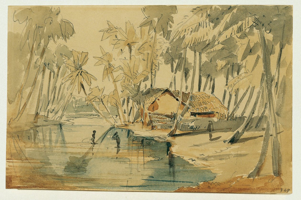 Palmelund på Ceylon (Sri Lanka) av Joseph Selleny