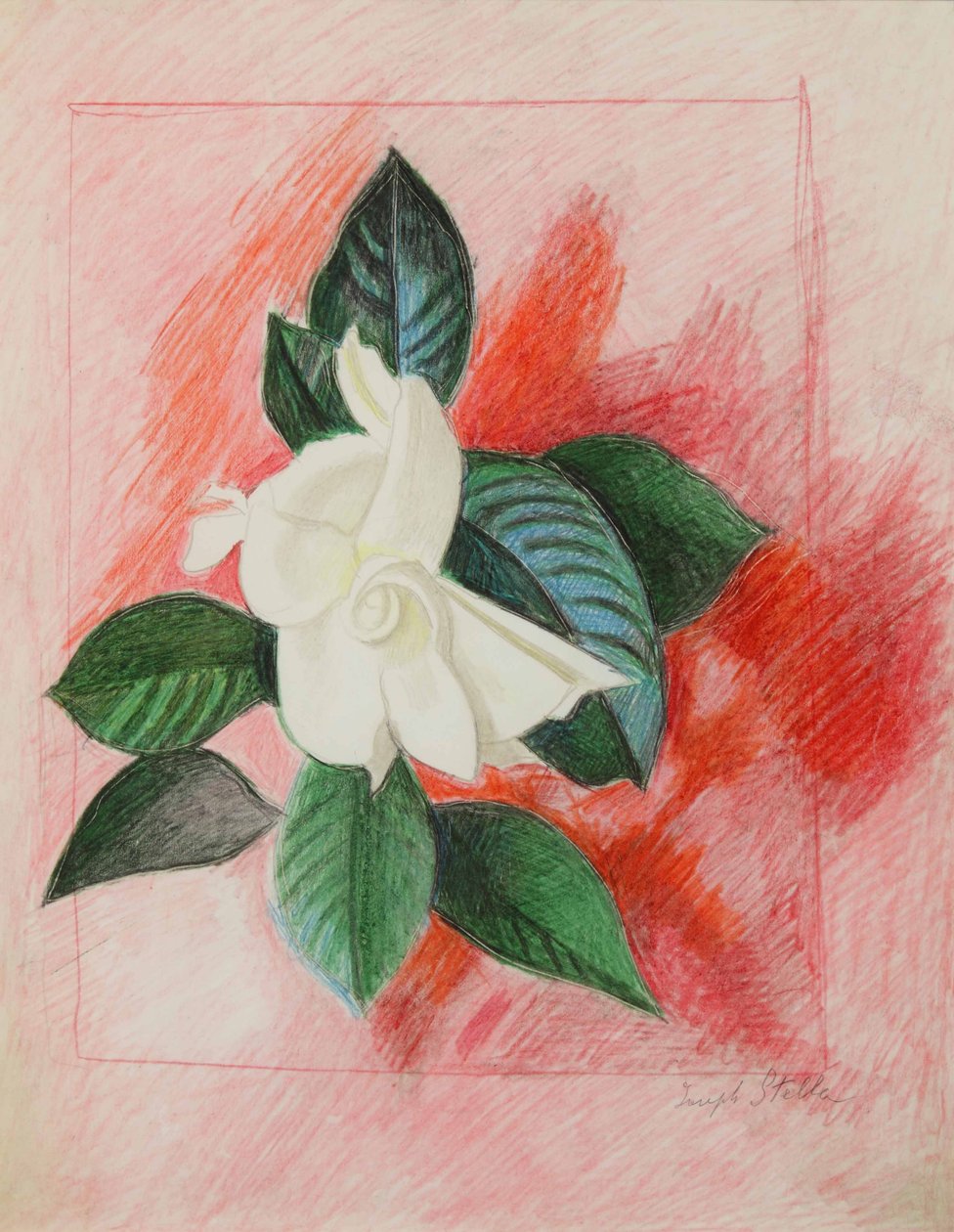  av Joseph Stella