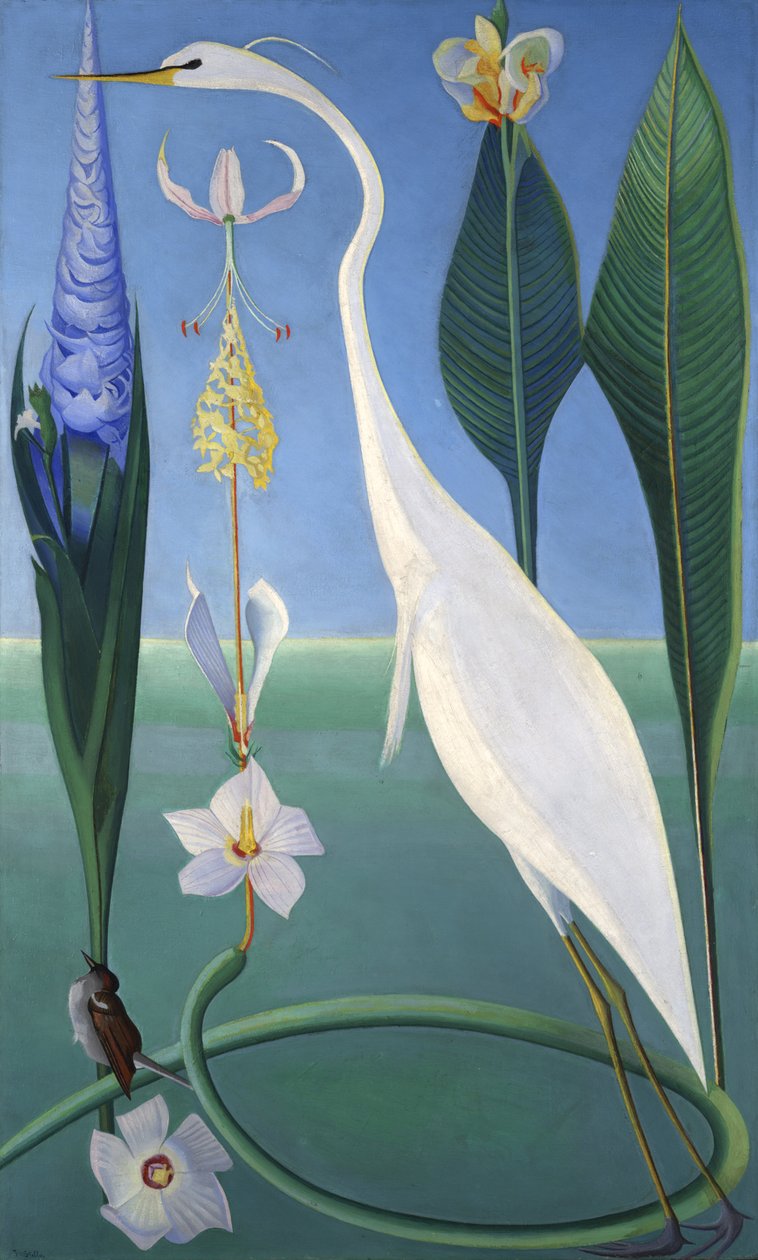 Den hvite hegre av Joseph Stella