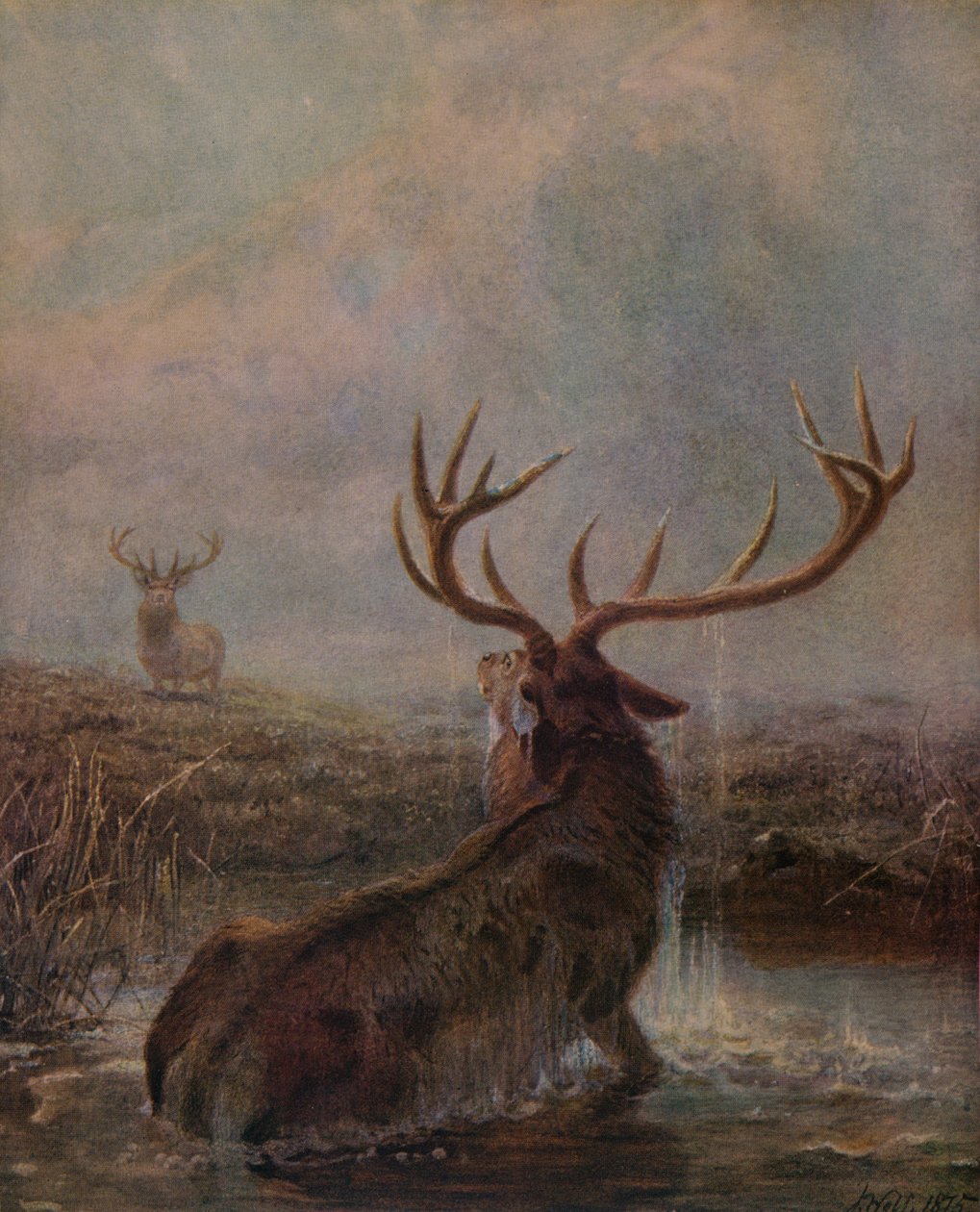 Avbrutt, 1875, 1938 av Joseph Wolf