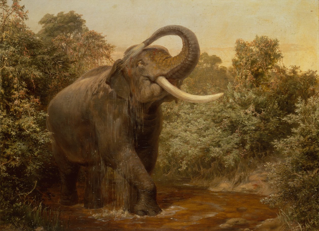Monster Tusker (olje på lerret) av Joseph Wolf