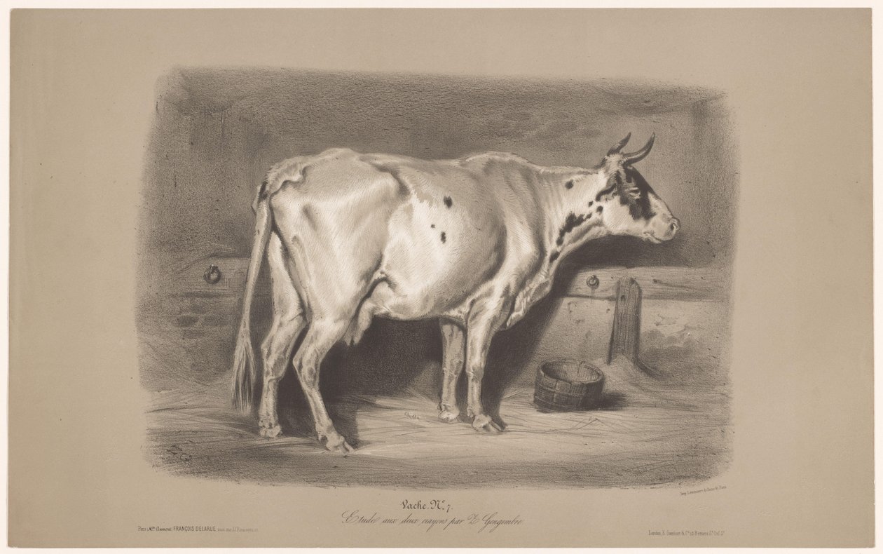 Ku i stall Vache (tittel på objekt) Dyrestudier i to typer kritt (serietittel) Etude aux deux fargestifter av Z. Gengembre (serietittel på objekt) av Joseph Zephyris Gengembre
