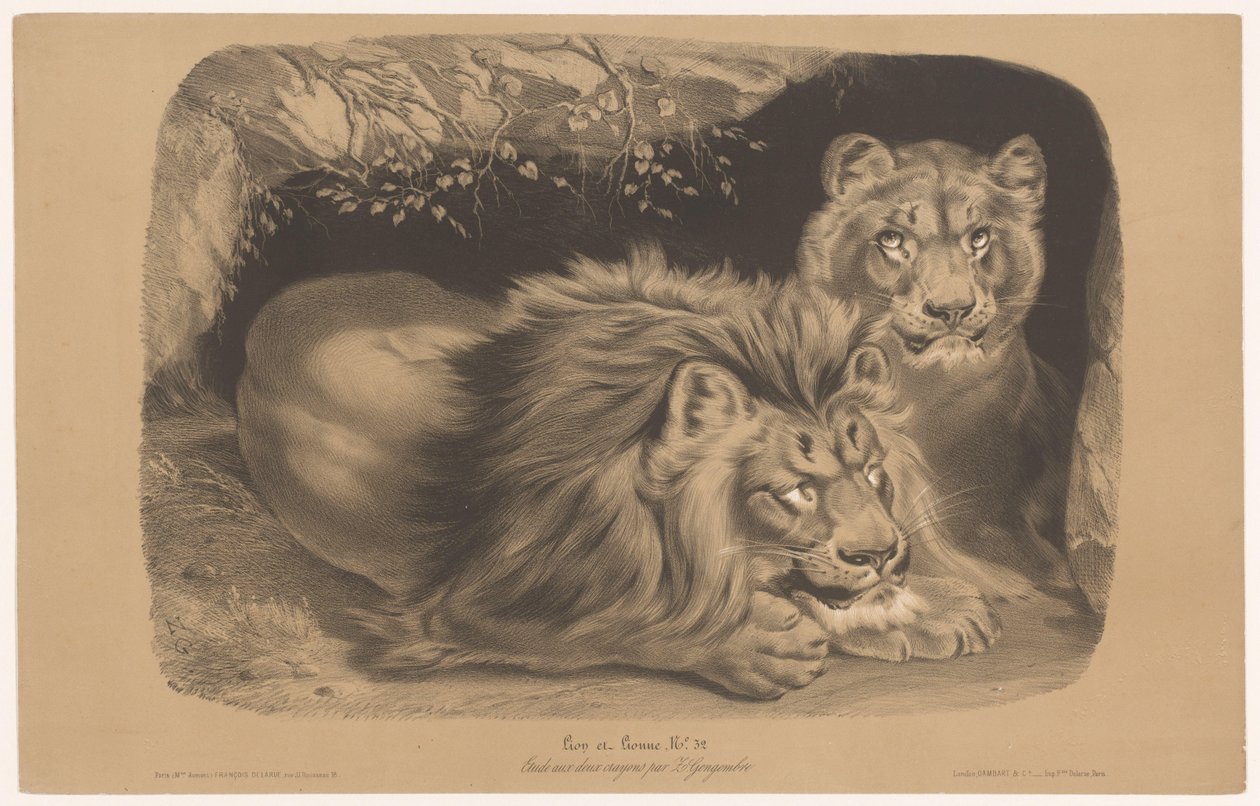 løve og løvinne Lion et Lionne (tittel på objekt) Dyrestudier i to typer kritt (serietittel) Etude aux deux fargestifter av Z. Gengembre (serietittel på objekt) av Joseph Zephyris Gengembre