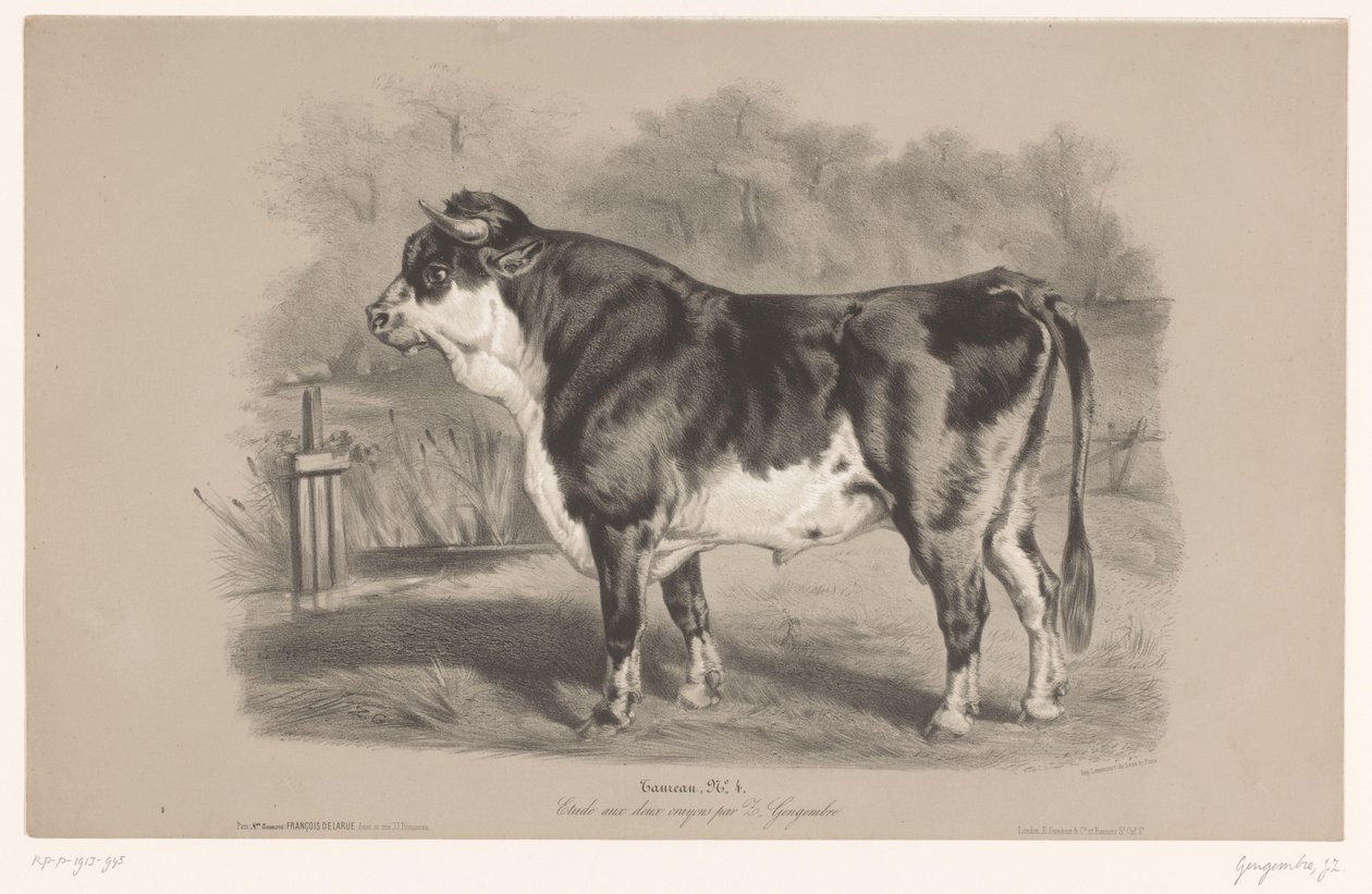 Okse på en eng Taureau (tittel på objekt) Dyrestudier i to typer kritt (serietittel) Etude aux deux fargestifter av Z. Gengembre (serietittel på objekt) av Joseph Zephyris Gengembre