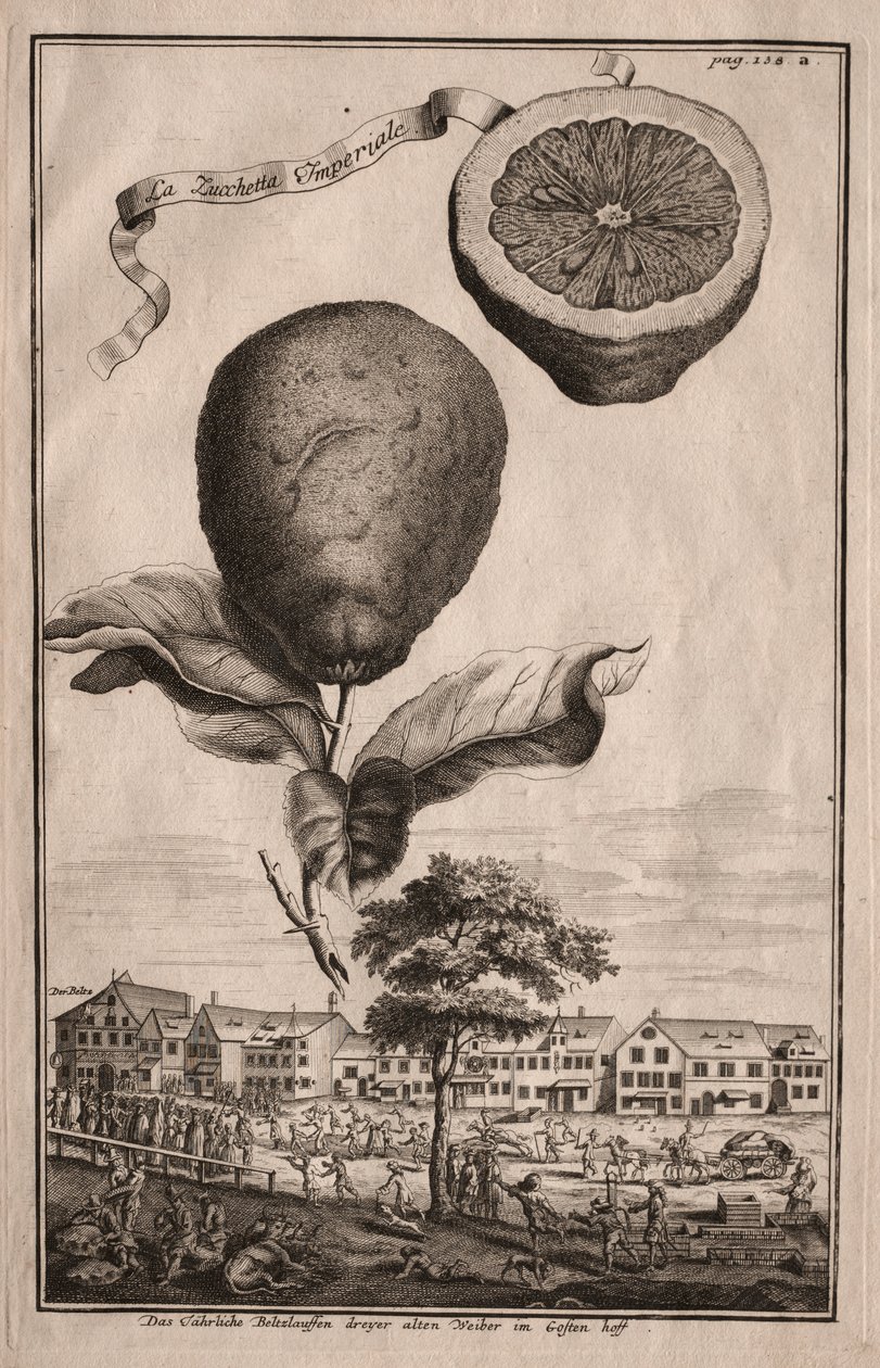 Nurnbergische Hesperides: The Luchetta Impoperiale av Joseph de Montalegre