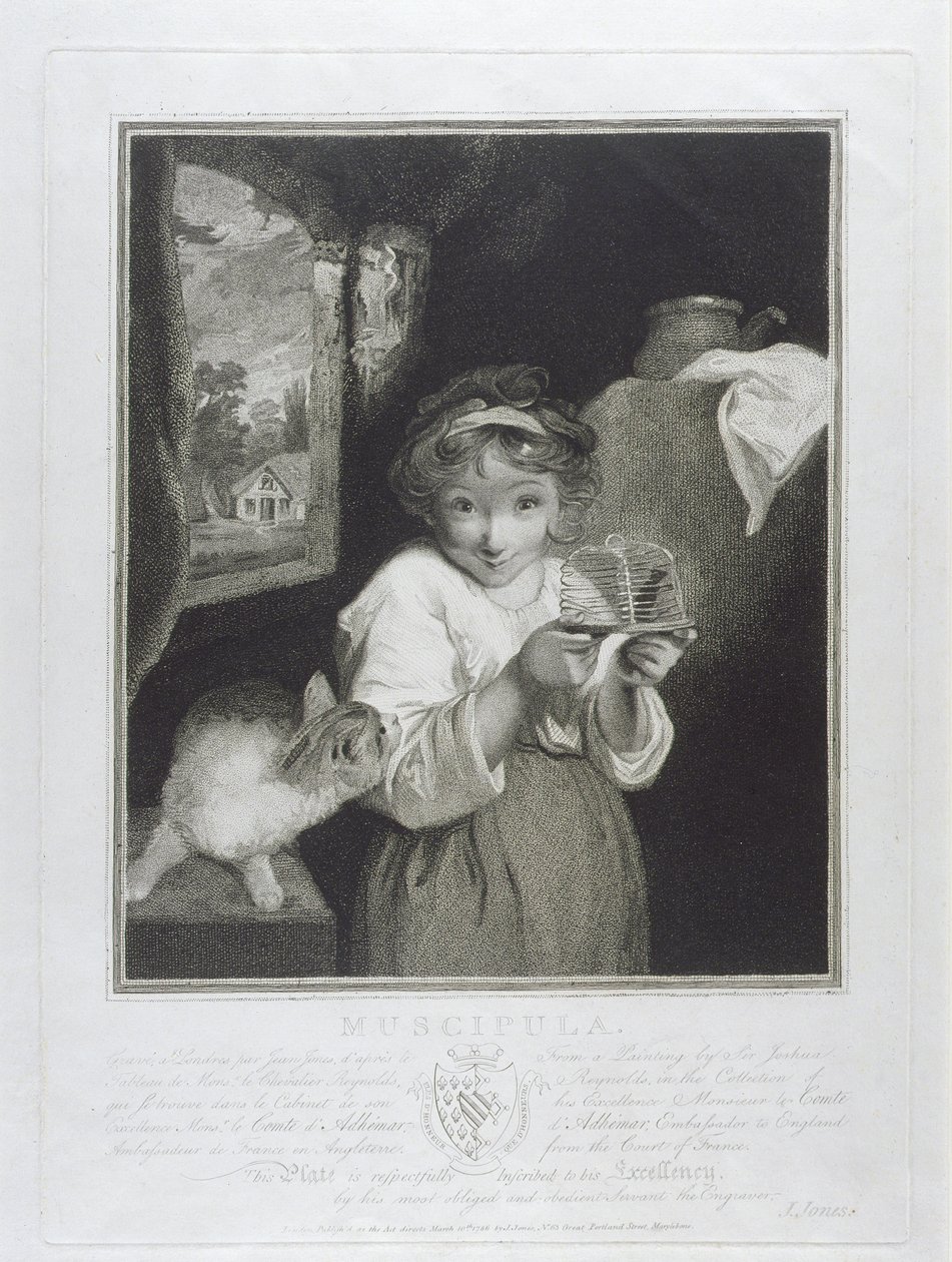 Muscipula, gravert av John Jones (ca. 1745-97) 1786 av Joshua Reynolds