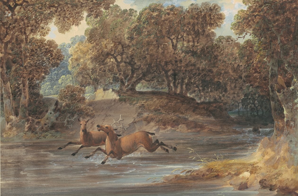 Landskap med Deer, North Carolina, ca. 1820 (wc und gouache over grafitt på papir) av Joshua H. Shaw