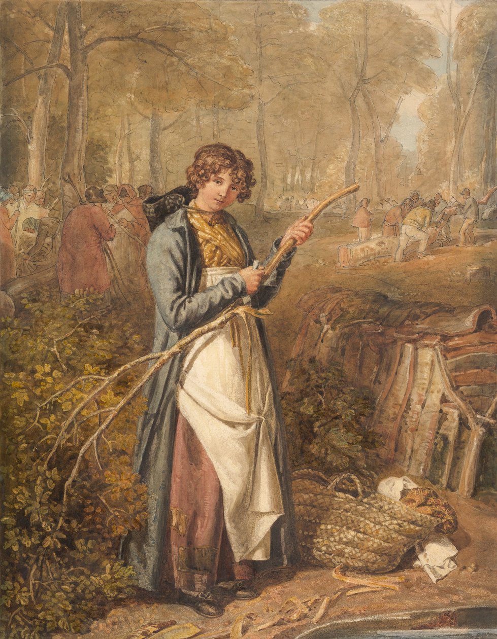 Barking Timber i Wychwood Forest, Oxfordshire, 1818. av Joshua Cristall