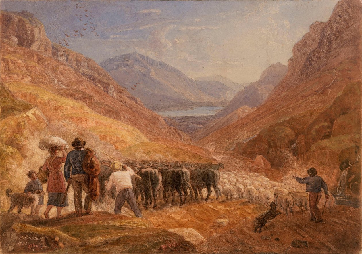 Gjetere driver storfe og sauer gjennom Tal-y-Llyn-passet, Wales av Joshua Cristall