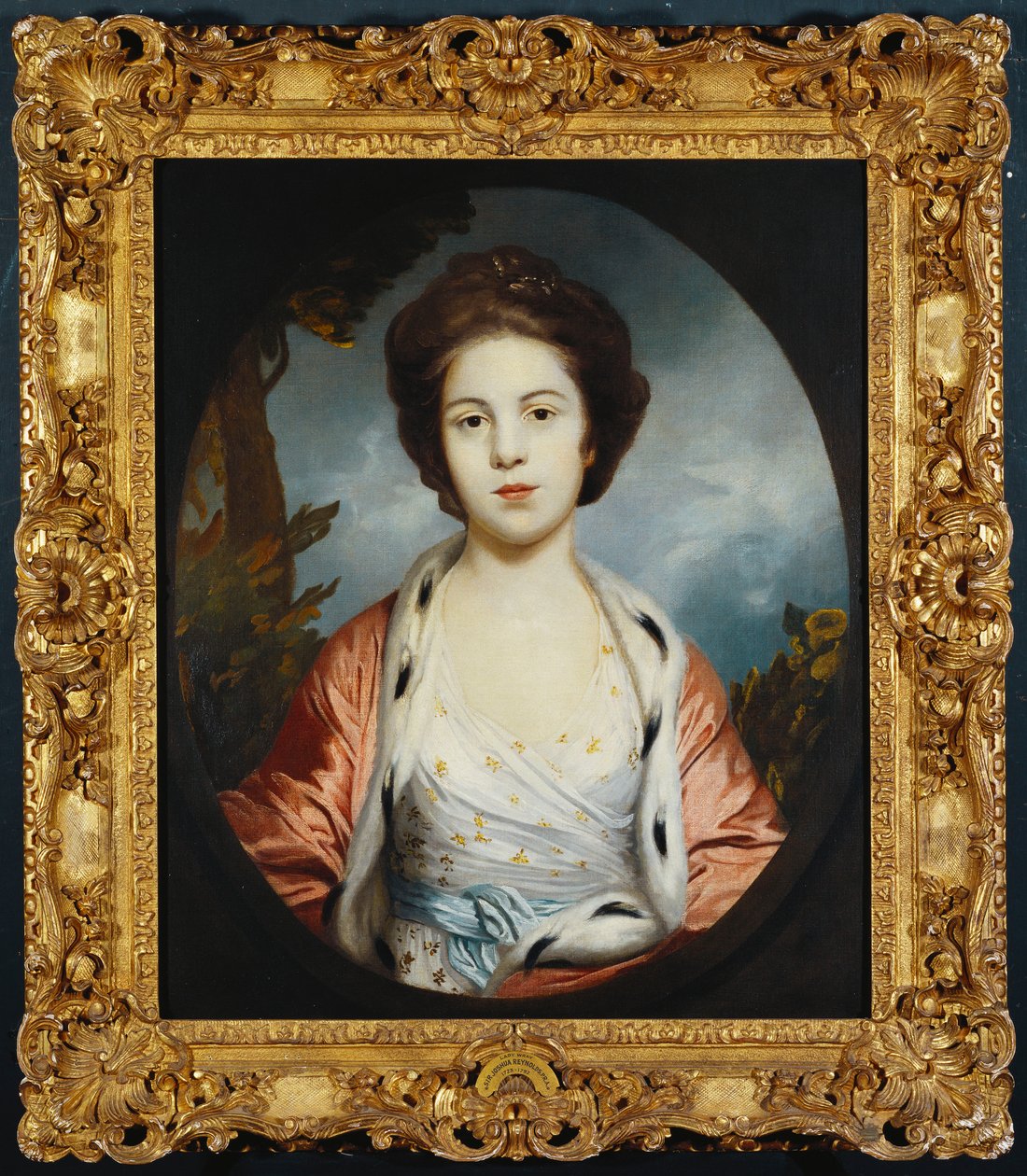 Portrett av Esther, Lady Wray, iført en hvit kjole, en gull- og rosa hermelinforet kappe, et landskap utenfor av Joshua Reynolds