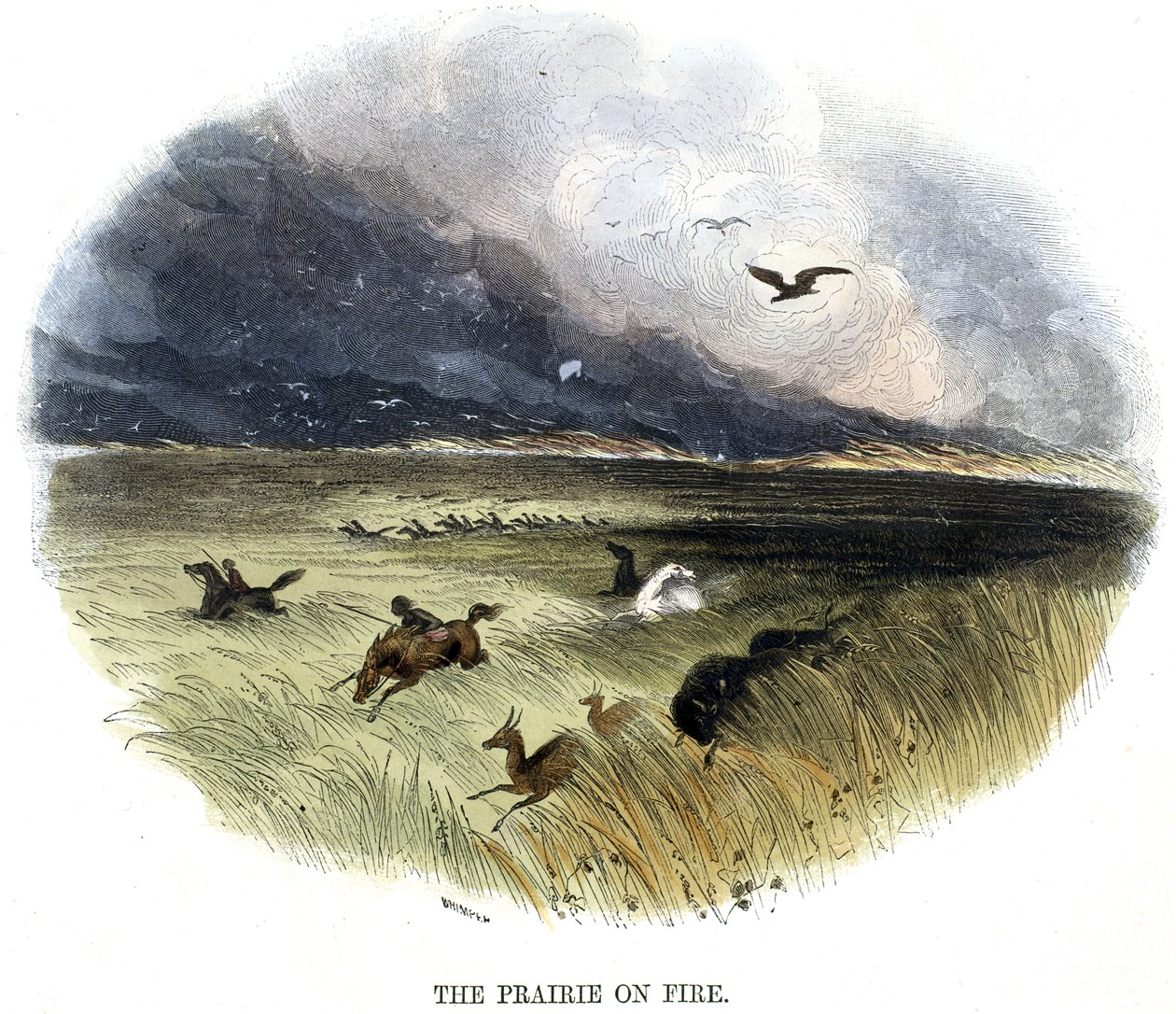 Prairie on Fire, fra Phenomena of Nature, 1849 av Josiah Wood Whymper