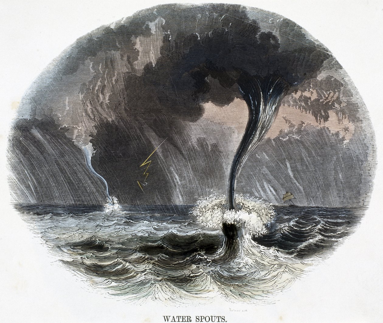 Vanntuter, fra Phenomena of Nature, 1849 av Josiah Wood Whymper