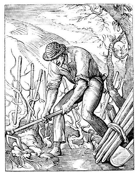 Vinprodusenten (litho) (s/hvitt-bilde) av Jost (after) Amman
