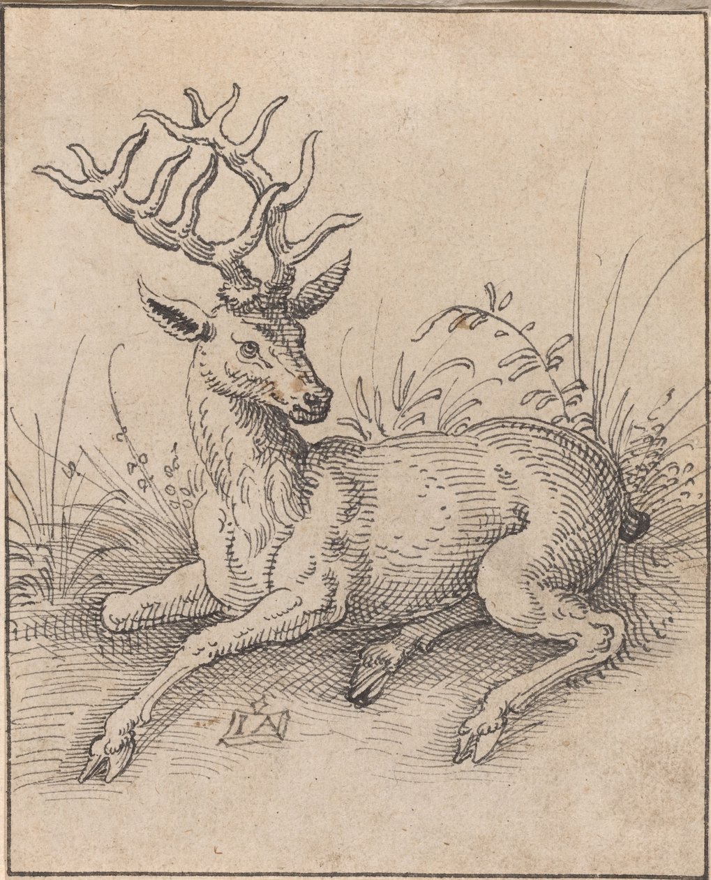 The Stag av Jost Amman