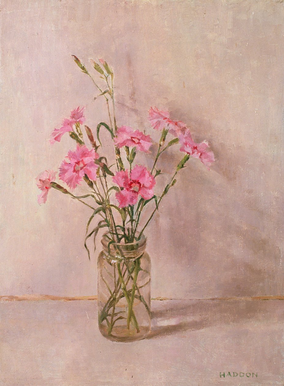 Rosa i en glasskrukke av Joyce Haddon