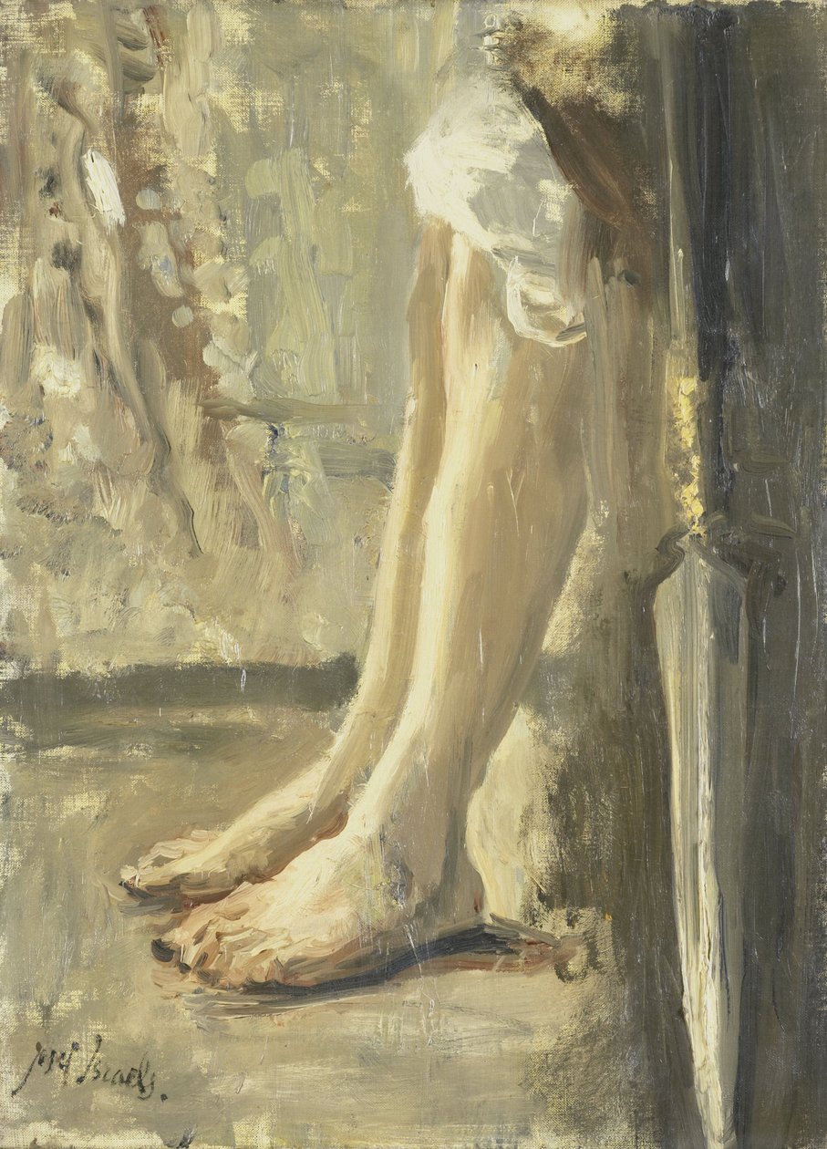 Davids ben av Jozef (1824-1911) Israels