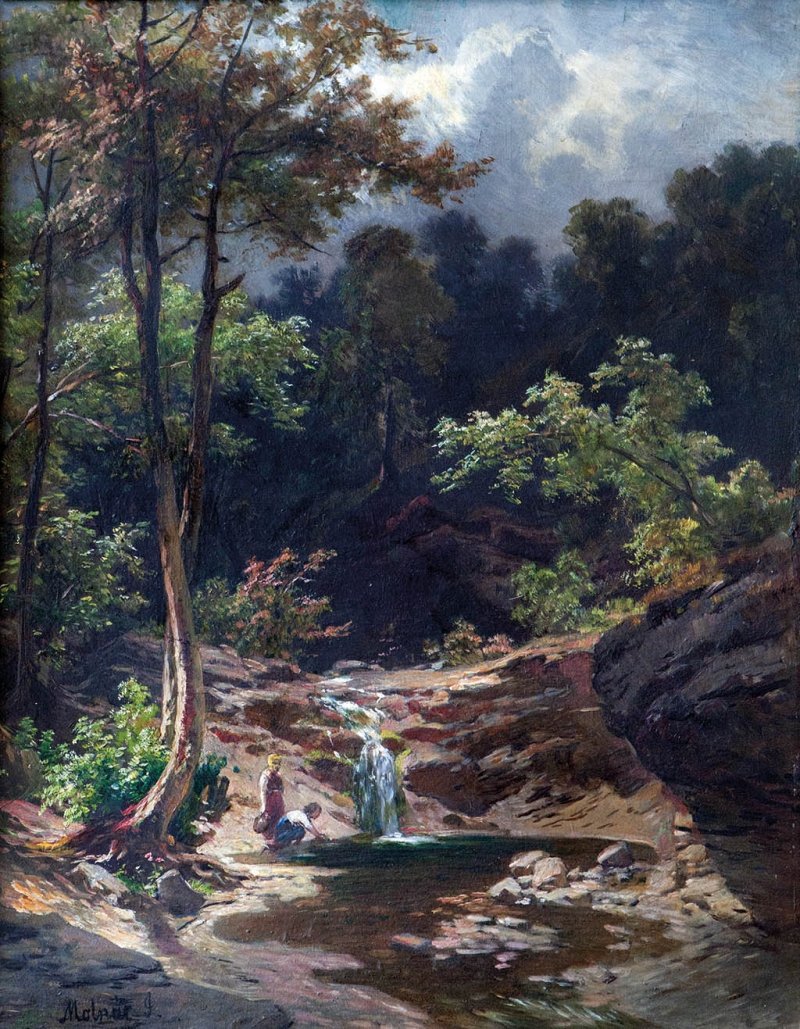 Verdai Patkaneglish: Forest Cricket av Jozsef Molnar