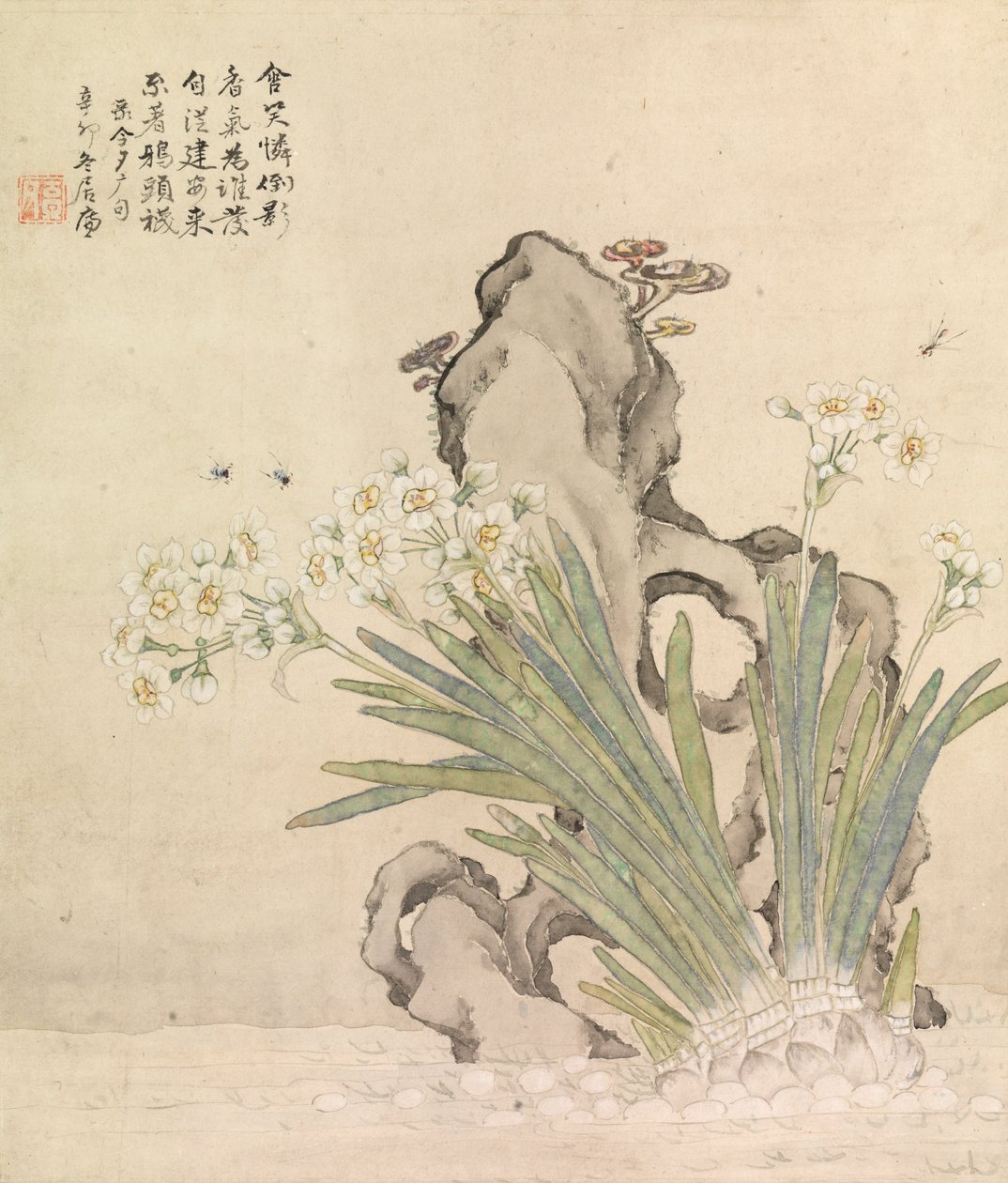 Narcissus, Rock, Bees og Linghzhi av Ju Lian