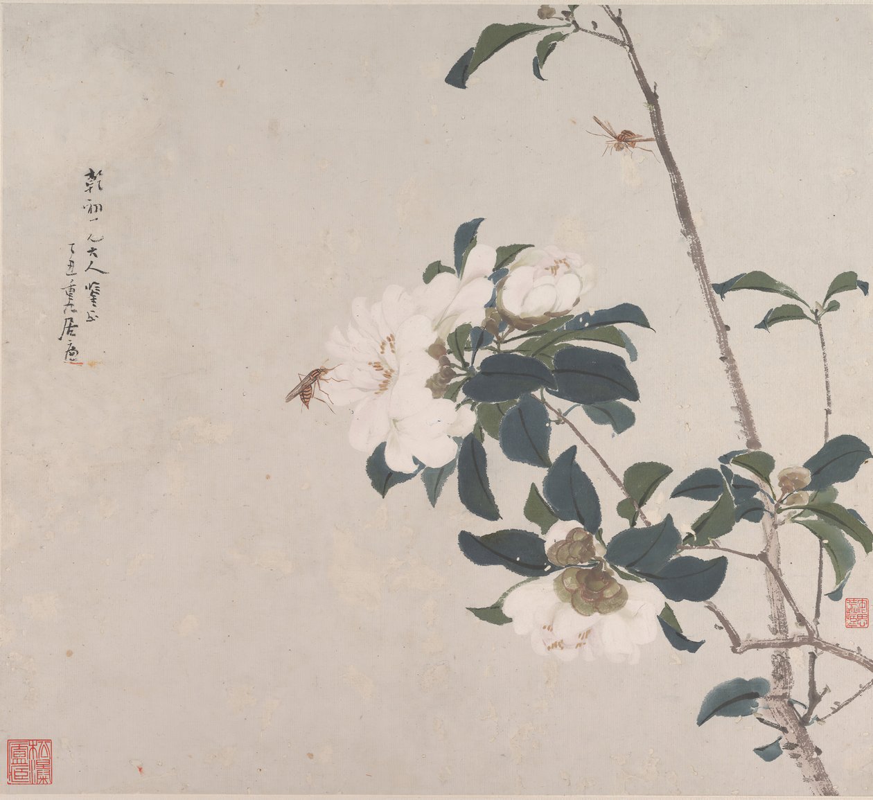 Insekter og blomster. av Ju Lian