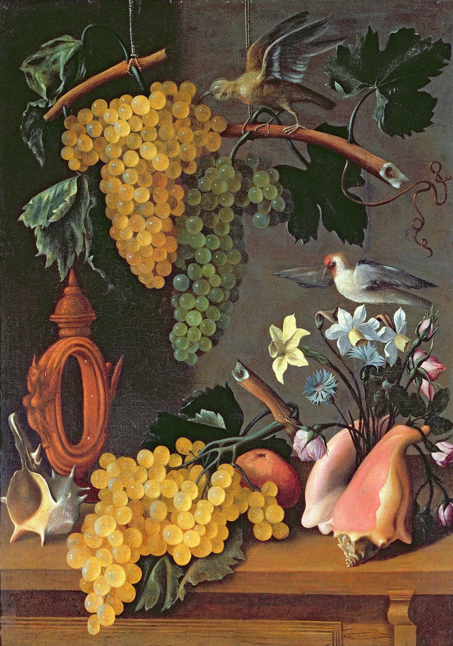 Stilleben med druer, fugler, blomster og skjell av Juan de Espinosa