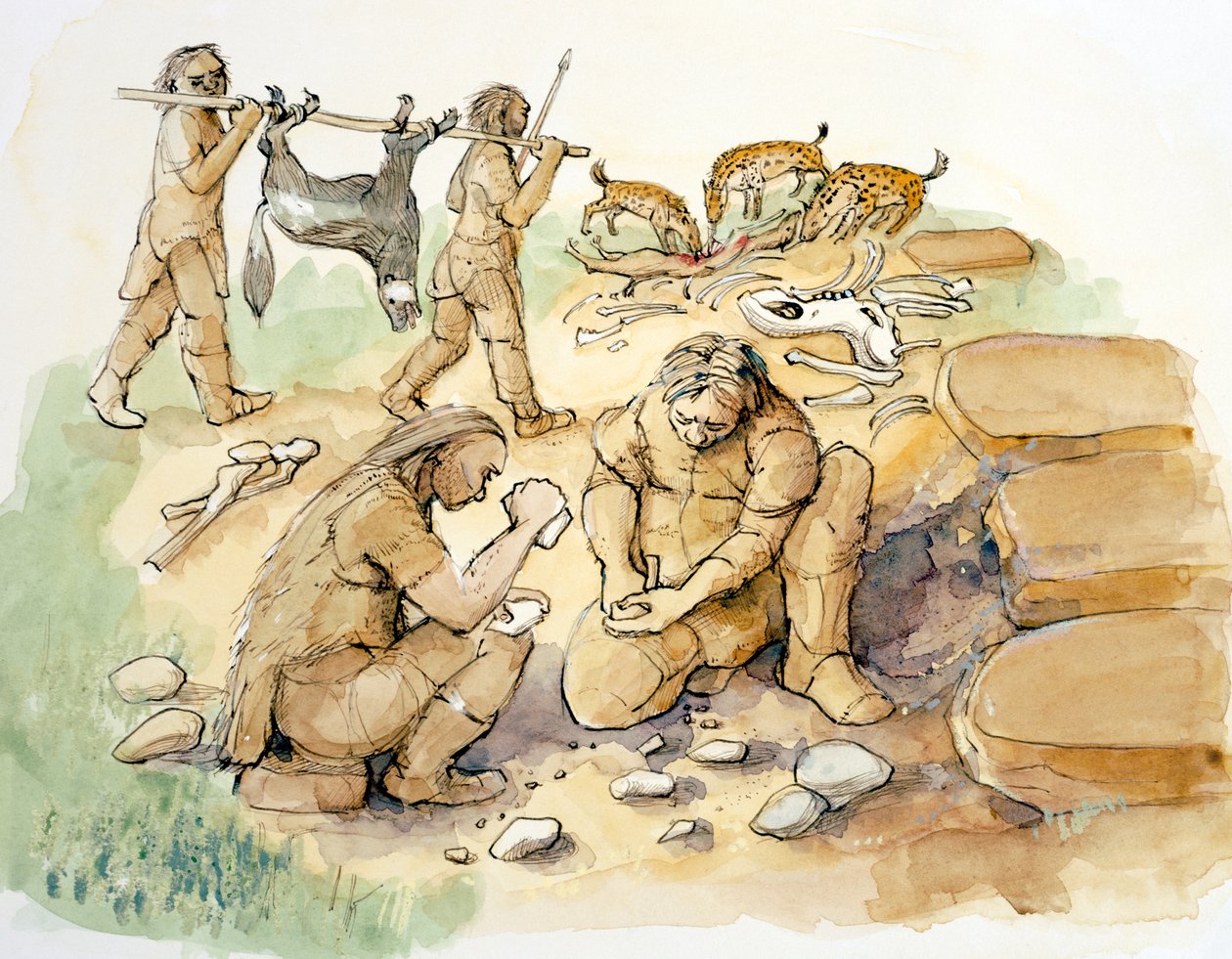 Hominider og hyener, øvre paleolitikum, c1990-2010 av Judith Dobie