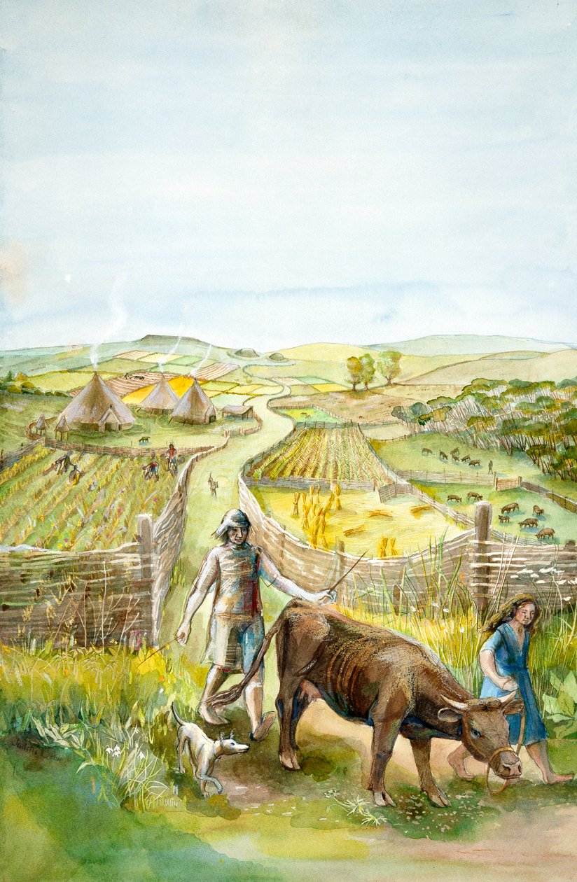 Landlig landskap, 2000 f.Kr., c1990-2010 av Judith Dobie